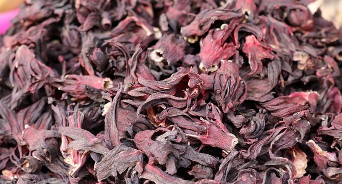 Nigeria to resume export of ‘zobo’ leaves to Mexico