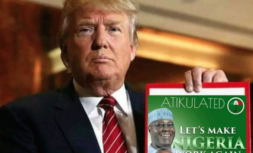 ANALYSIS: How PDP, APC camps are using fake news as 2019 campaign strategy
