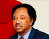 Shehu Sani: Some govt officials condemn hate speech but sponsor attacks on their opponents
