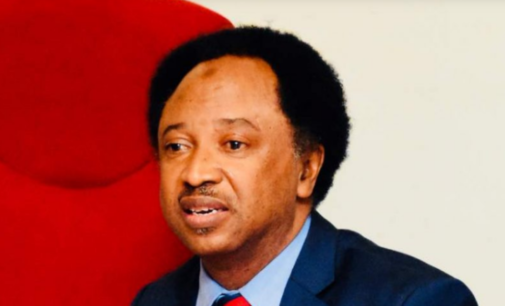 Shehu Sani: Some govt officials condemn hate speech but sponsor attacks on their opponents