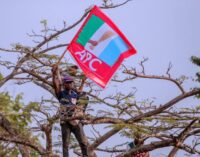 APC candidates threaten to stop ALL elections in Rivers unless included