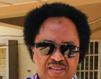EXTRA: ‘I consider it hate speech’ — Shehu Sani wants el-Rufai’s wife to stop talking about his hair