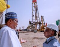 Buhari orders extension of oil exploration to six basins