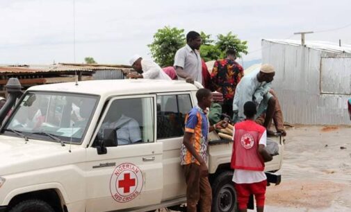 Red Cross releases toll-free lines, promises to assist vulnerable during elections