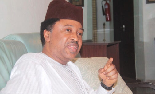 Shehu Sani asks lecturers to withdraw from election duty