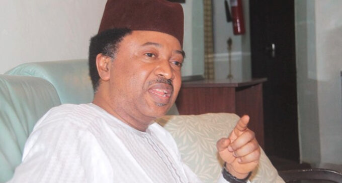 10th n’assembly: APC must unite to avoid a repeat of 2015, says Shehu Sani