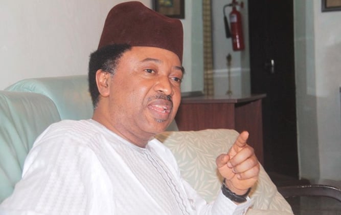 Shehu Sani