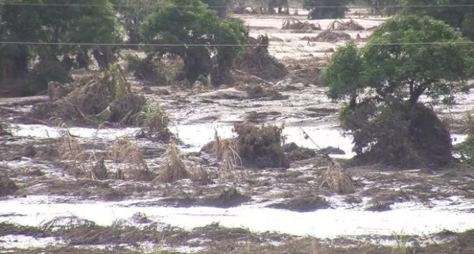 Cyclone Idai kills 89 in Zimbabwe