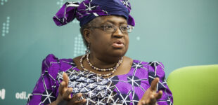 FAKE NEWS ALERT: Okonjo-Iweala disowns viral post claiming she’s wooing investors for Nigeria