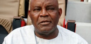 Christian Chukwu: 19 years later, NFF still owes me salary as Eagles coach