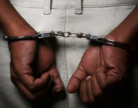Suspected fraudsters ‘linked to Nigerian crime syndicate’ arrested in S’Africa