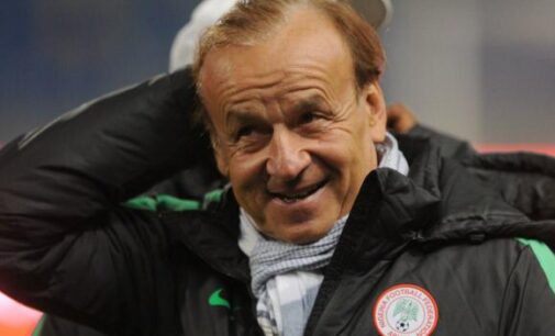 I drink beer to celebrate every time Super Eagles win, says Rohr