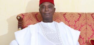 Workers’ Day: Ned Nwoko backs demand for new minimum wage