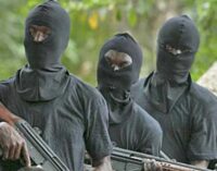 APC: A north-west governor is sponsoring bandits