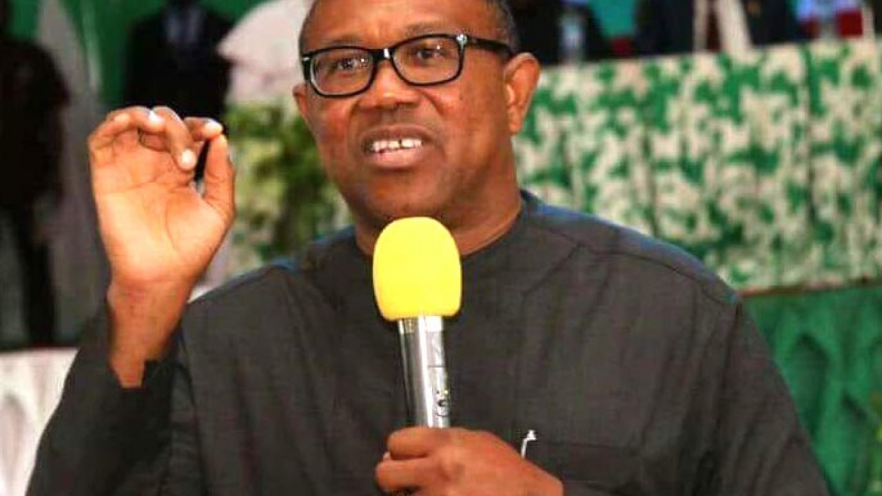 Peter Obi to PDP delegates: Consider your children's future when voting  presidential candidate | TheCable