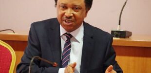 Shehu Sani to reps: Changing national anthem requires public consultation