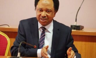 Full autonomy only way to save LGs from paralysis, says Shehu Sani