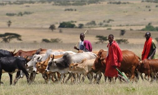 Northern coalition gives governors 30-day ultimatum to adopt Ruga