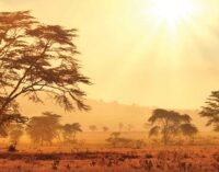 Extreme heatwave to hit one-third of African urban population, experts warn