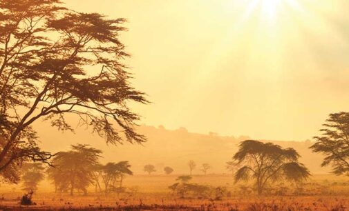 Extreme heatwave to hit one-third of African urban population, experts warn