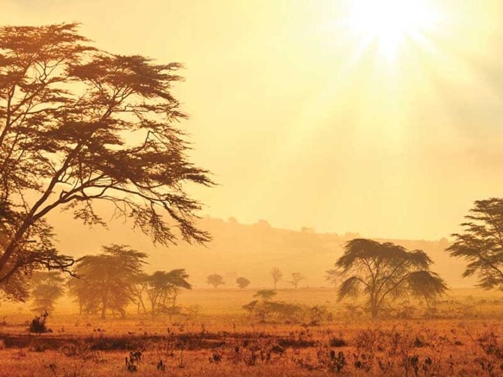 Extreme heatwave to hit one-third of African urban population, experts warn