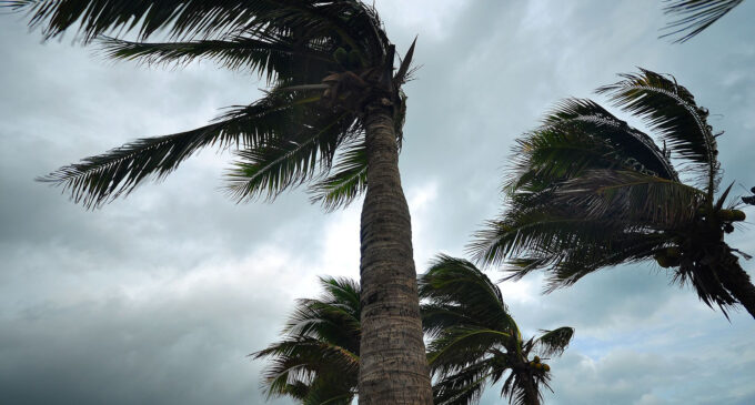 Windstorm destroys ‘over 1000’ houses in Zamfara