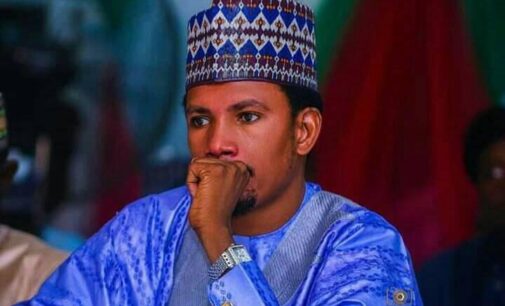 Court bars Abbo, ‘sex toy shop senator’, from seeking re-election