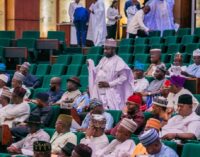 Reps: Neighbouring countries fuelling insecurity in Nigeria