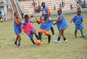 NSSM calls for improvement of sports business in line with global practices