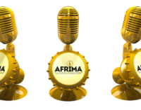 FULL LIST: Burna Boy, Fireboy, Tiwa Savage vie for 2022 AFRIMA ‘Artiste of Year’
