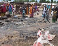 Boko Haram sets 73 houses ablaze in Borno