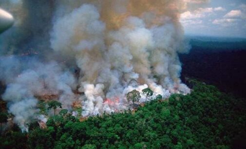 Outrage as fire rips through Brazil’s Amazon — world’s largest rainforest
