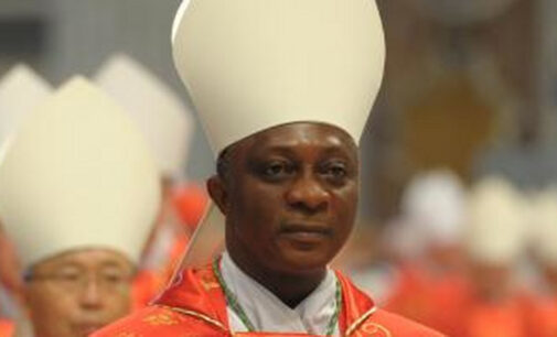 Catholic archbishop asks FG to consider herbal remedies for COVID-19