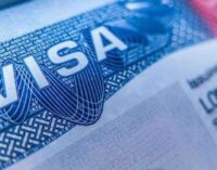 Nigeria begins implementation of reduced visa fees for US citizens
