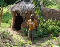 Potential role of the private sector in ending open defecation in Nigeria
