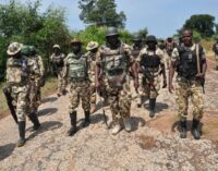 Troops kill 20 Boko Haram insurgents in Borno 