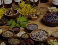 Herbs fight many diseases better than conventional drugs, says practitioner