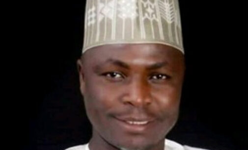 VIDEO: Boko Haram occupying 8 out of 10 LGAs in northern Borno, says APC rep