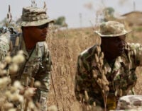 Troops kill six insurgents in Borno but lose four soldiers