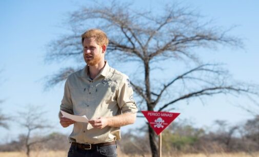 Prince Harry takes over NatGeo’s Instagram account in conservation drive for trees
