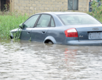 FG asks states to prepare for flood from September 6