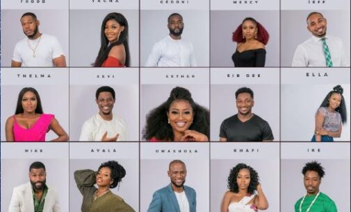 Mercy, Tacha, Mike… here are the most talked-about 2019 BBNaija housemates