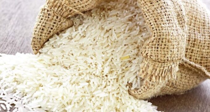 Rice processors: How production of rice declined after border reopening