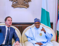 Nigeria seals deal with Netherlands for diary chain development