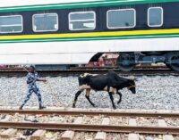 IN PICTURES: What you need to know about Lagos-Ibadan trains