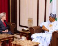 Buhari asks US ambassador to ignore ‘false narratives’ about Nigeria
