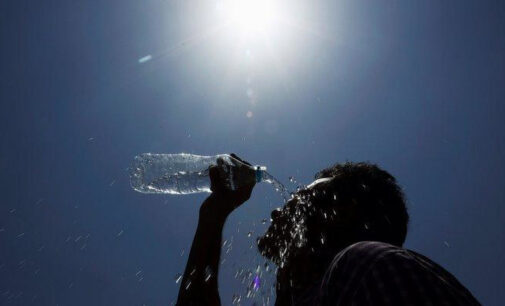 Always drink water, get cold bath… how you can survive the scorching weather