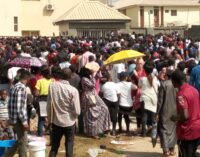 TRENDING VIDEO: Job seekers scale fence just to write NDLEA test in Kano