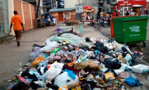 Climate Watch: CSO develops waste management software to mitigate flooding