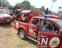 Amotekun arrests 31 suspects for kidnapping, illegal possession of firearms in Ondo